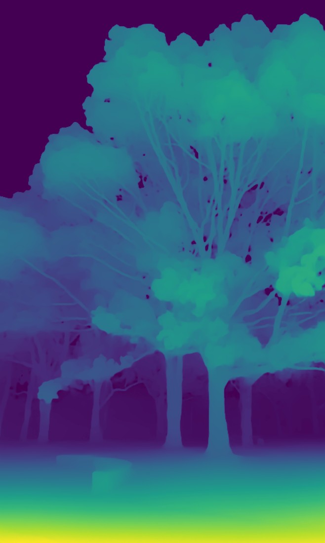 Depth map generated from the park photo